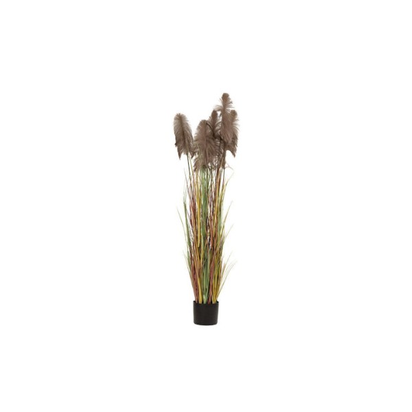Τεχνητό Φυτό Pampas Grass 220cm σε Πλαστική Γλάστρα Iliadis Natural 