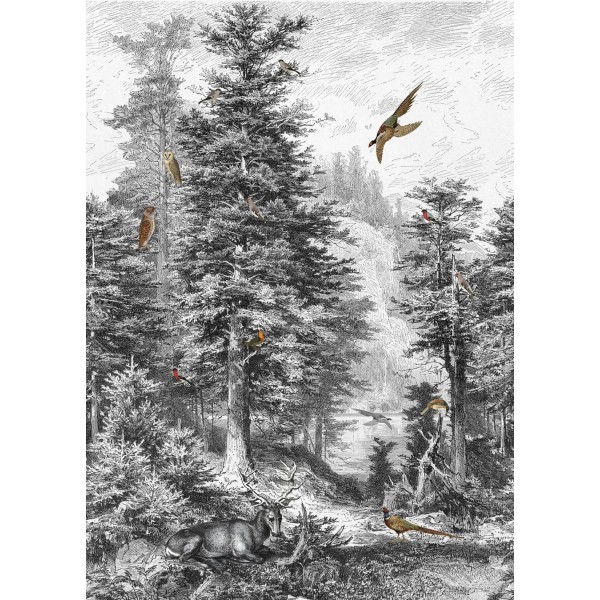 SPITS WALLCOVERINGS LIGHT & DARK INK7321-BEH Ταπετσαρίες Τοίχου Digital,Non Woven 2,00x2,80