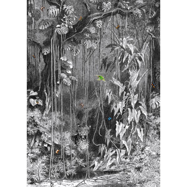 SPITS WALLCOVERINGS LIGHT & DARK INK7324-BEH Ταπετσαρίες Τοίχου Digital,Non Woven 2,00x2,80