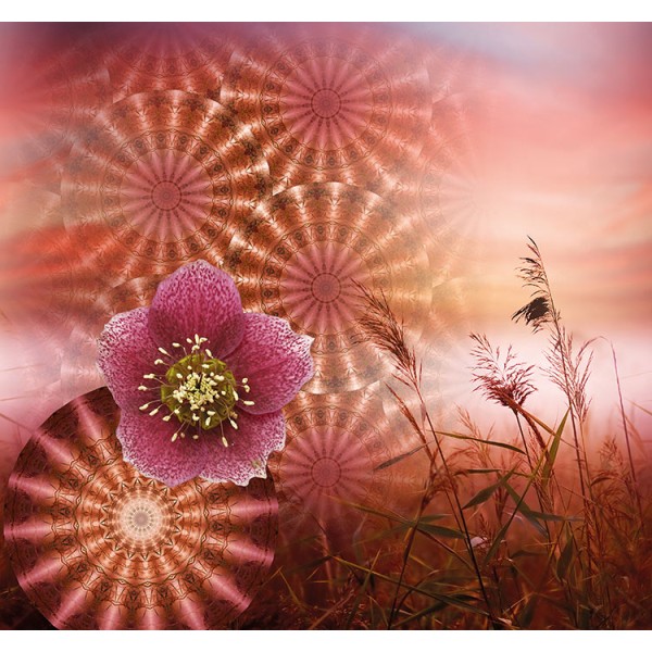 DUTCH WALL DÉCOR SELECT.D CIRCLE OF LIFE TD4181-BEH Ταπετσαρίες τοίχου  Digital,Non Woven 3,00x2,80