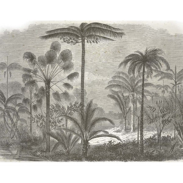 DUTCH WALL DECOR NATURAL HISTORY NH250002-DWD Ταπετσαρίες τοίχου Non Woven Custom παραγγελία στις διαστάσεις σας.