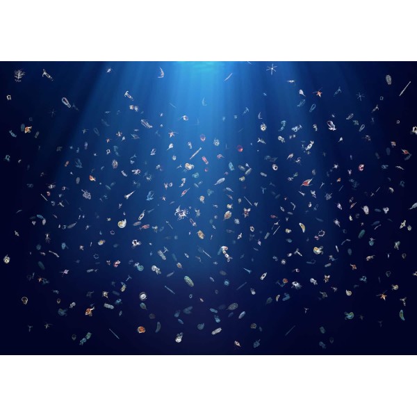 DUTCH WALL DECOR NATURAL HISTORY NH250003-DWD Ταπετσαρίες τοίχου Non Woven Custom παραγγελία στις διαστάσεις σας.