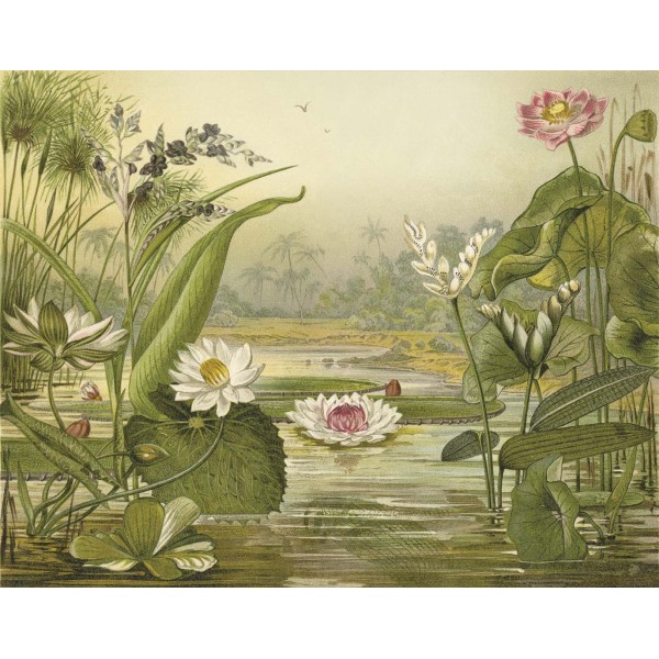 DUTCH WALL DECOR NATURAL HISTORY NH250004-DWD Ταπετσαρίες τοίχου Non Woven Custom παραγγελία στις διαστάσεις σας.