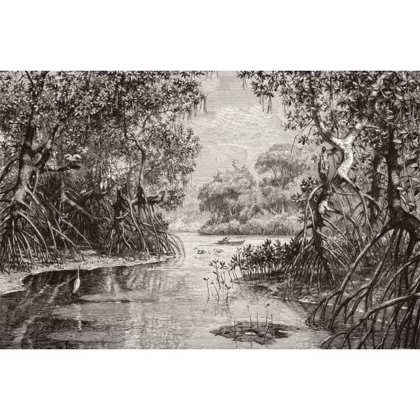 DUTCH WALL DECOR NATURAL HISTORY NH250005-DWD Ταπετσαρίες τοίχου Non Woven Custom παραγγελία στις διαστάσεις σας.