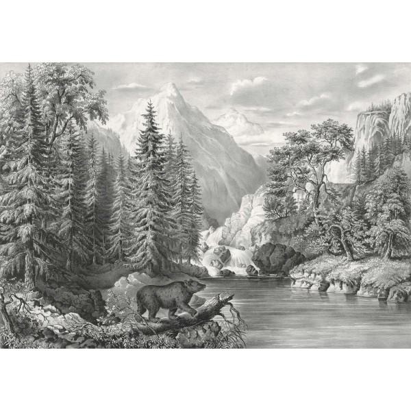 DUTCH WALL DECOR NATURAL HISTORY NH250008-DWD Ταπετσαρίες τοίχου Non Woven Custom παραγγελία στις διαστάσεις σας.