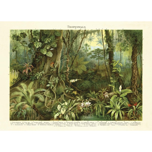 DUTCH WALL DECOR NATURAL HISTORY NH250017-DWD Ταπετσαρίες τοίχου Non Woven Custom παραγγελία στις διαστάσεις σας.