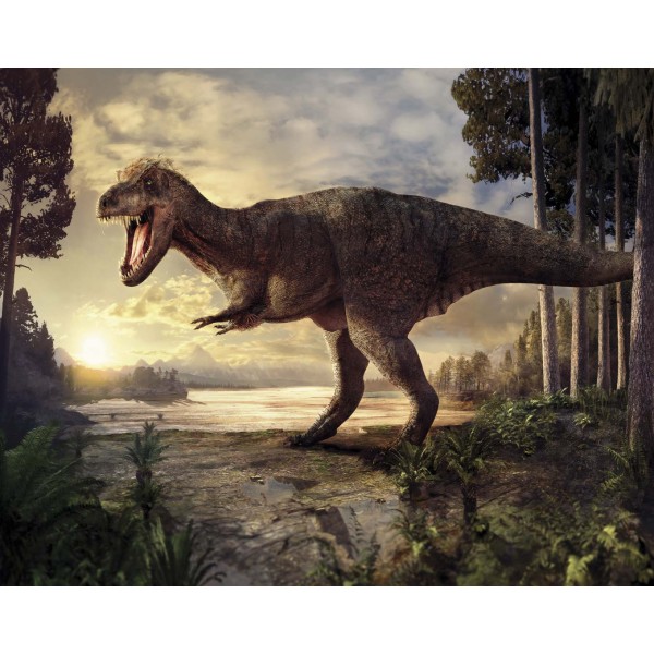 DUTCH WALL DECOR NATURAL HISTORY NH250028-DWD Ταπετσαρίες τοίχου Non Woven Custom παραγγελία στις διαστάσεις σας.