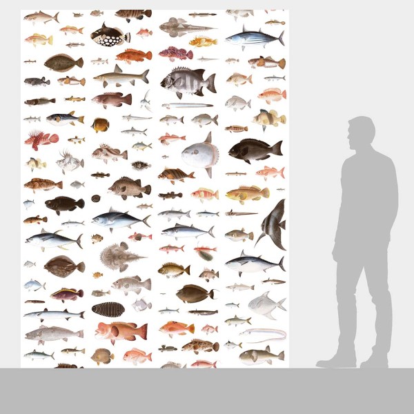 DUTCH WALL DECOR NATURAL HISTORY NH250031-DWD Ταπετσαρίες τοίχου Non Woven Custom παραγγελία στις διαστάσεις σας.