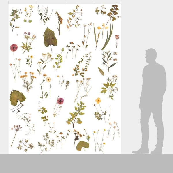 DUTCH WALL DECOR NATURAL HISTORY NH250035-DWD Ταπετσαρίες τοίχου Non Woven Custom παραγγελία στις διαστάσεις σας.
