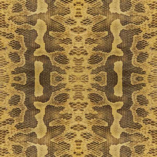 DUTCH WALL DECOR NATURAL HISTORY NH250042-DWD Ταπετσαρίες τοίχου Non Woven Custom παραγγελία στις διαστάσεις σας.