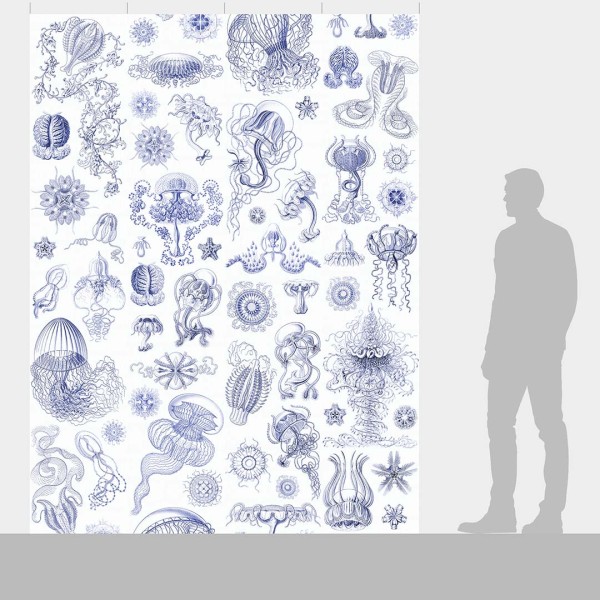 DUTCH WALL DECOR NATURAL HISTORY NH250045-DWD Ταπετσαρίες τοίχου Non Woven Custom παραγγελία στις διαστάσεις σας.