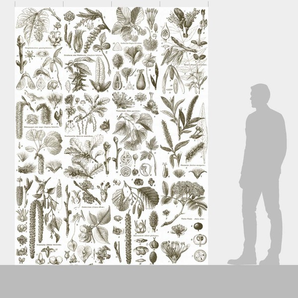 DUTCH WALL DECOR NATURAL HISTORY NH250047-DWD Ταπετσαρίες τοίχου Non Woven Custom παραγγελία στις διαστάσεις σας.