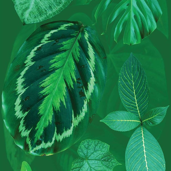 DUTCH WALL DECOR NATURAL HISTORY NH250052-DWD Ταπετσαρίες τοίχου Non Woven Custom παραγγελία στις διαστάσεις σας.