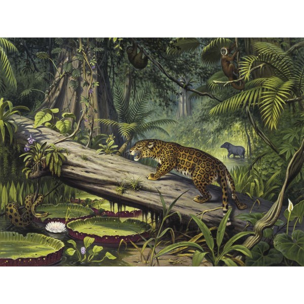 DUTCH WALL DECOR NATURAL HISTORY NH250065-DWD Ταπετσαρίες τοίχου Non Woven Custom παραγγελία στις διαστάσεις σας.