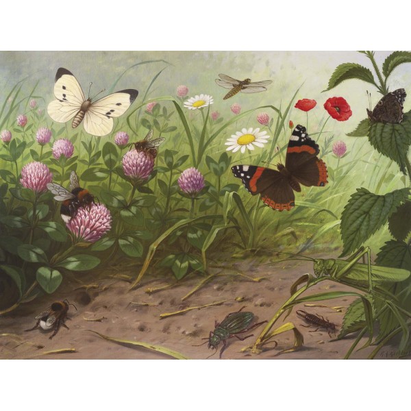 DUTCH WALL DECOR NATURAL HISTORY NH250067-DWD Ταπετσαρίες τοίχου Non Woven Custom παραγγελία στις διαστάσεις σας.