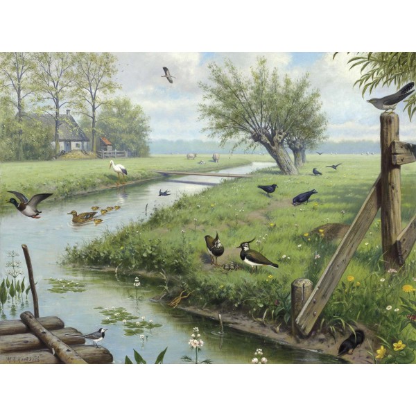 DUTCH WALL DECOR NATURAL HISTORY NH250071-DWD Ταπετσαρίες τοίχου Non Woven Custom παραγγελία στις διαστάσεις σας.