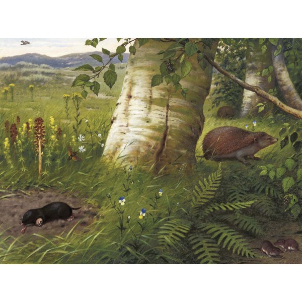 DUTCH WALL DECOR NATURAL HISTORY NH250075-DWD Ταπετσαρίες τοίχου Non Woven Custom παραγγελία στις διαστάσεις σας.