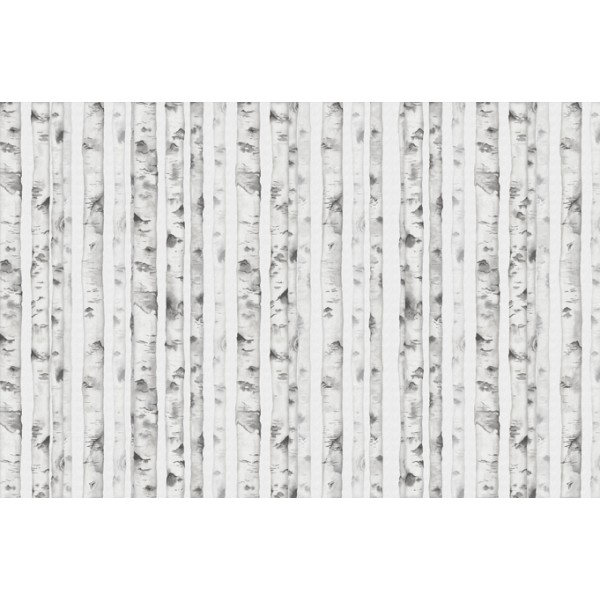 PANORAMA 1 V107-2-ICH Coated C, Non Woven 4.24x2.80