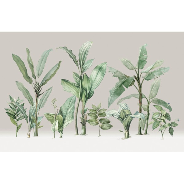 PANORAMA 1 V111-1-ICH Coated C, Non Woven 4.24x2.80