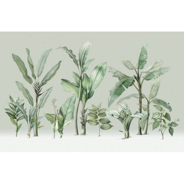PANORAMA 1 V111-3-ICH Coated C, Non Woven 4.24x2.80