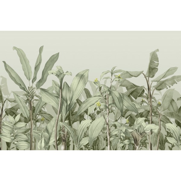 PANORAMA 1 V112-1-ICH Coated C, Non Woven 4.24x2.80
