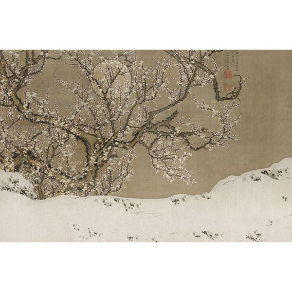 PANORAMA 1 V118-3-ICH Coated C, Non Woven 4.24x2.80