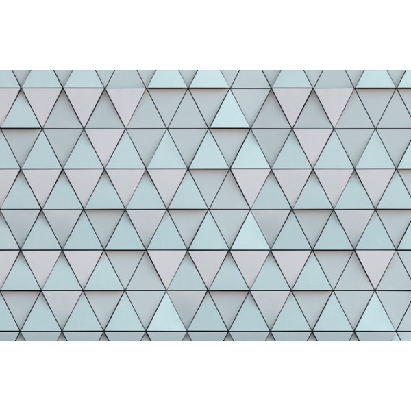 PANORAMA 1 V138-2-ICH Coated C, Non Woven 4.24x2.80