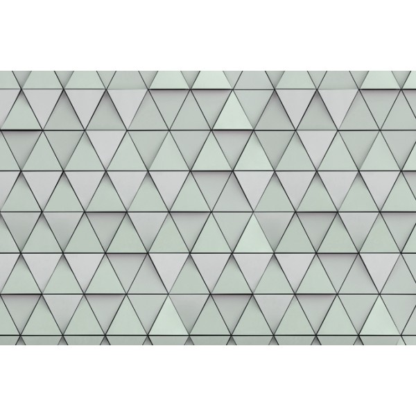 PANORAMA 1 V138-3-ICH Coated C, Non Woven 4.24x2.80