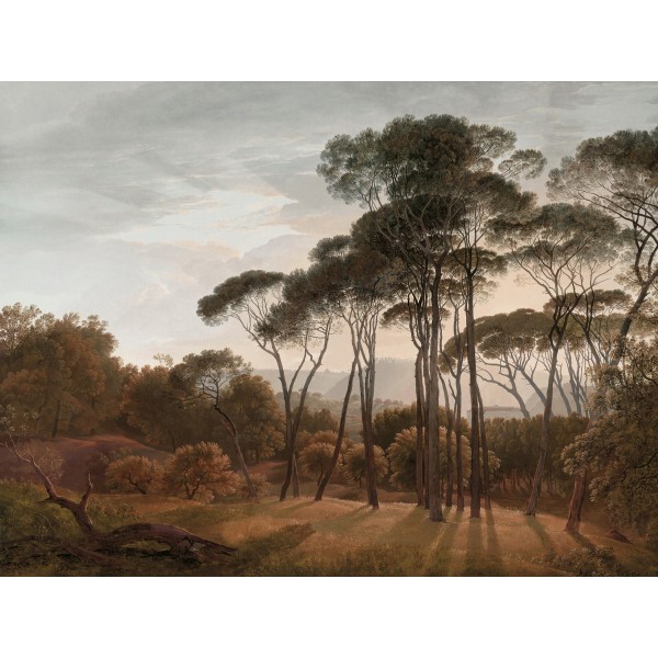 PANORAMA 2 V151-3-ICH Coated C, Non Woven 3.71x2.80