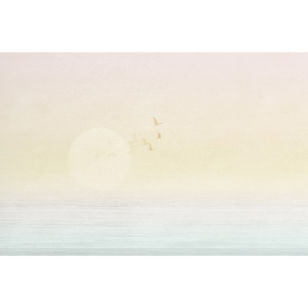 PANORAMA 2 V170-1-ICH Coated C, Non Woven 4.24x2.80
