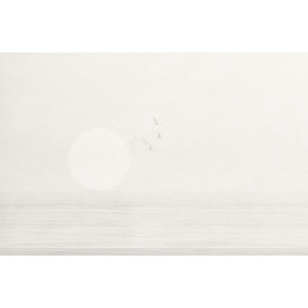PANORAMA 2 V170-2-ICH Coated C, Non Woven 4.24x2.80