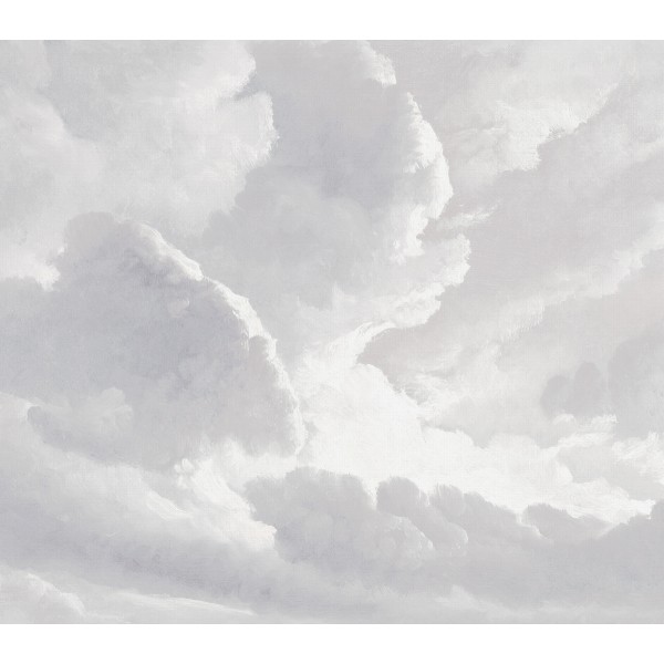 PANORAMA 2 V171-3-ICH Coated C, Non Woven 3.18x2.80