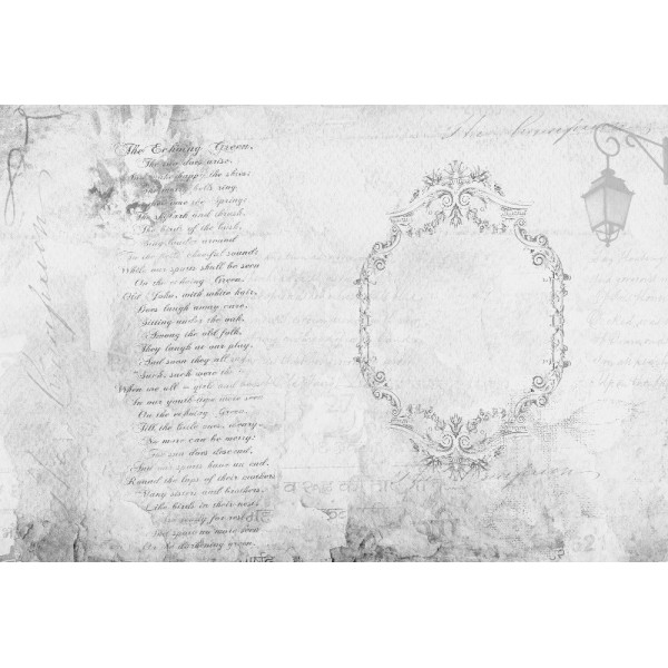 KT-Exclusive GEMINI KT061M-A-MATTVINYL-KTE Ταπετσαρίες τοίχου Vinyl,Non Woven Custom παραγγελία στις διαστάσεις σας.
