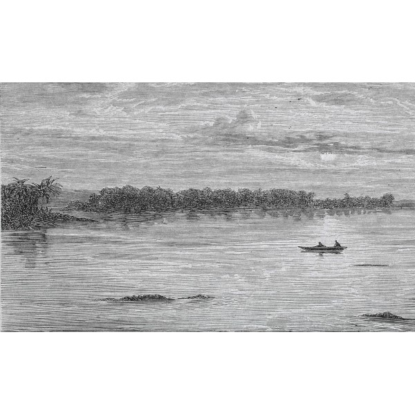 KT-Exclusive GEMINI KT22MF-B-MATTVINYL-KTE Ταπετσαρίες τοίχου Vinyl,Non Woven Custom παραγγελία στις διαστάσεις σας.