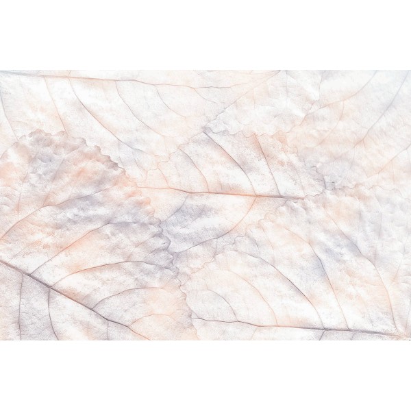 KT-Exclusive GEMINI KT639M-C-MATTVINYL-KTE Ταπετσαρίες τοίχου Vinyl,Non Woven Custom παραγγελία στις διαστάσεις σας.